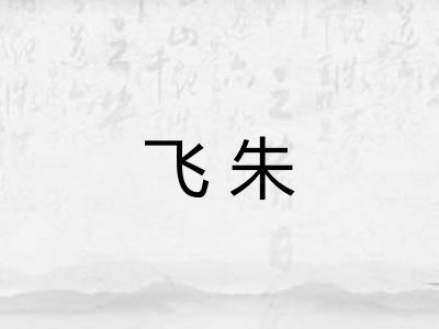 飞朱