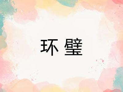 环璧 环璧