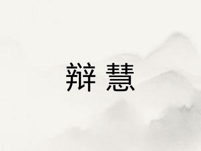 辩慧
