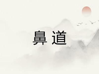鼻道