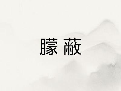 朦蔽