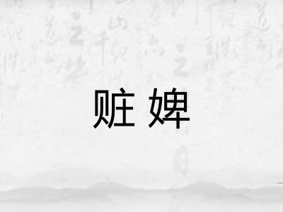 赃婢