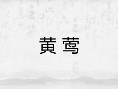 黄莺