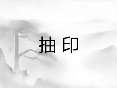抽印