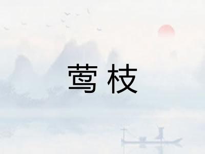 莺枝