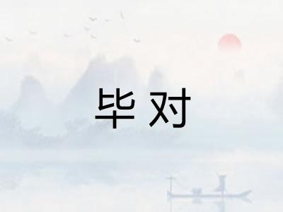 毕对