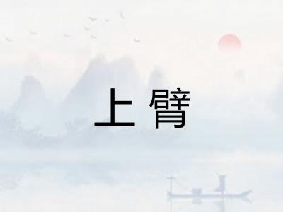 上臂