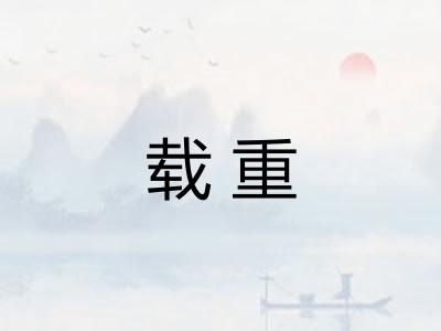 载重 载重