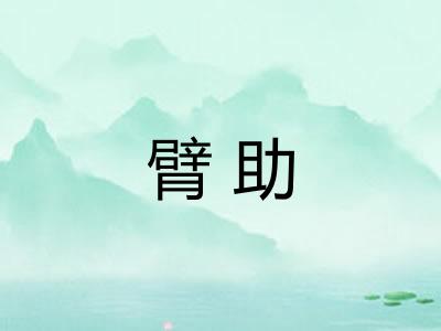 臂助