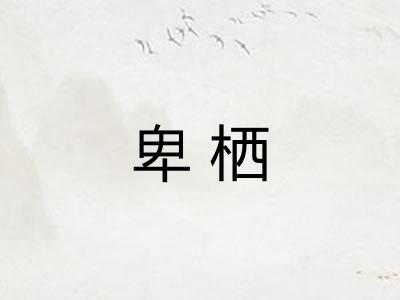 卑栖