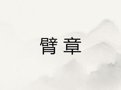 臂章