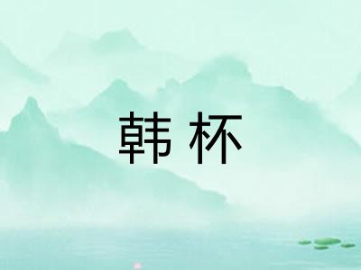 韩杯