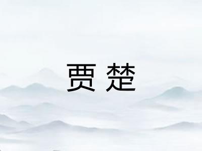 贾楚