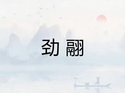 劲翮