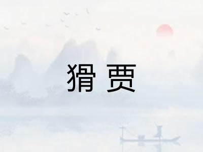 猾贾