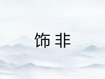 饰非