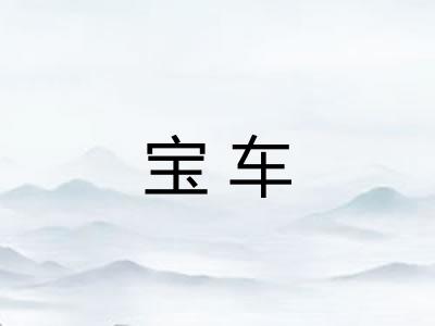 宝车 宝车