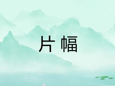 片幅