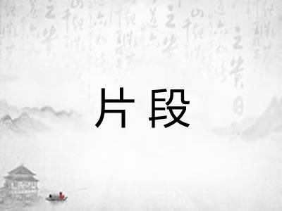 片段