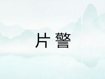 片警