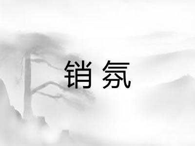 销氛