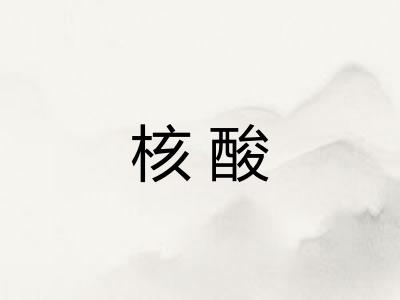 核酸 核酸