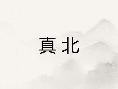 真北