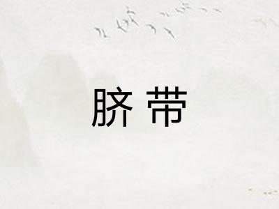 脐带
