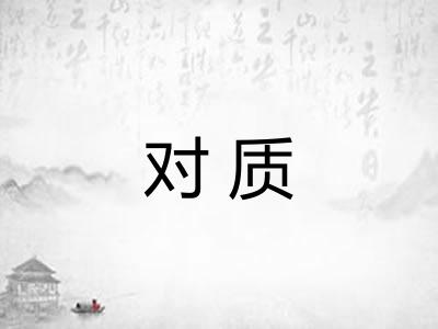 对质