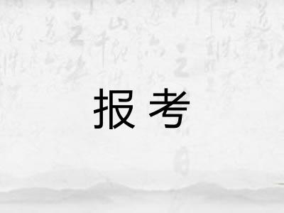 报考