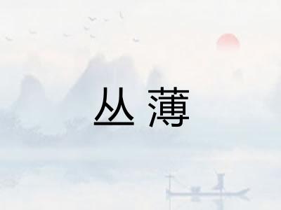 丛薄