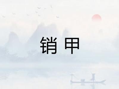 销甲
