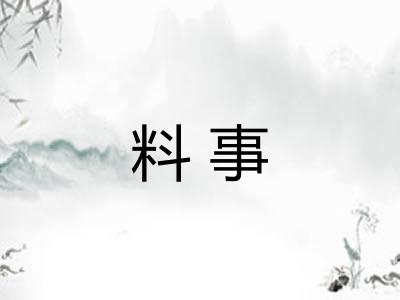 料事