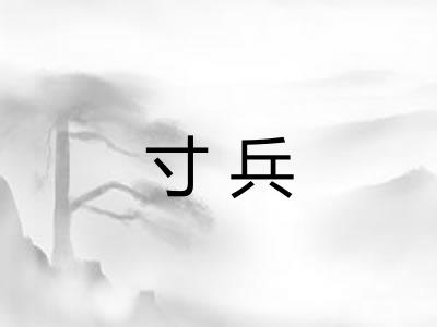 寸兵