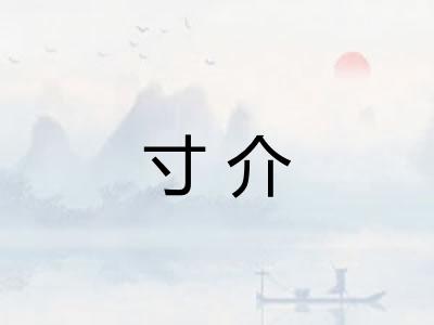 寸介