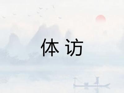 体访 体访