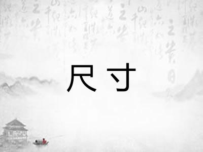 尺寸