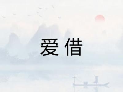 爱借