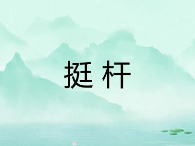 挺杆