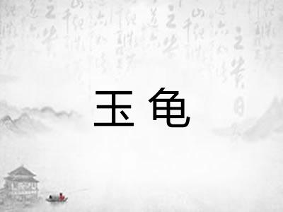 玉龟