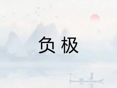 负极