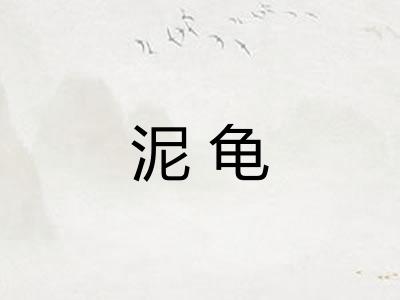 泥龟