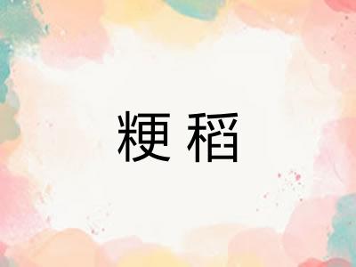 粳稻