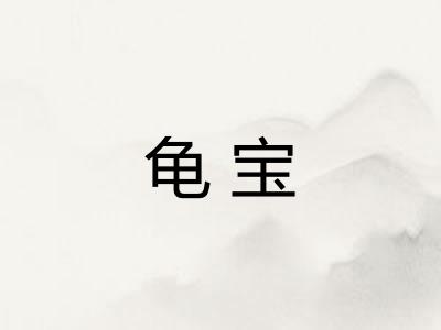 龟宝