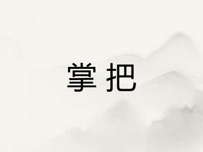 掌把