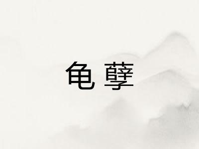 龟孽