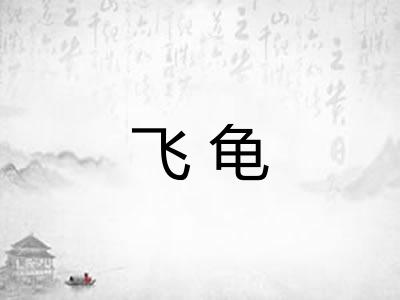 飞龟