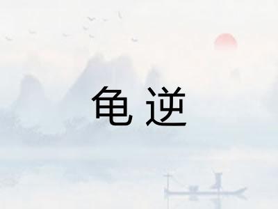 龟逆 龟逆