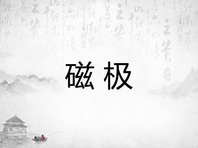 磁极