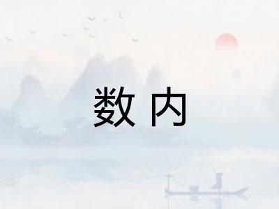 数内